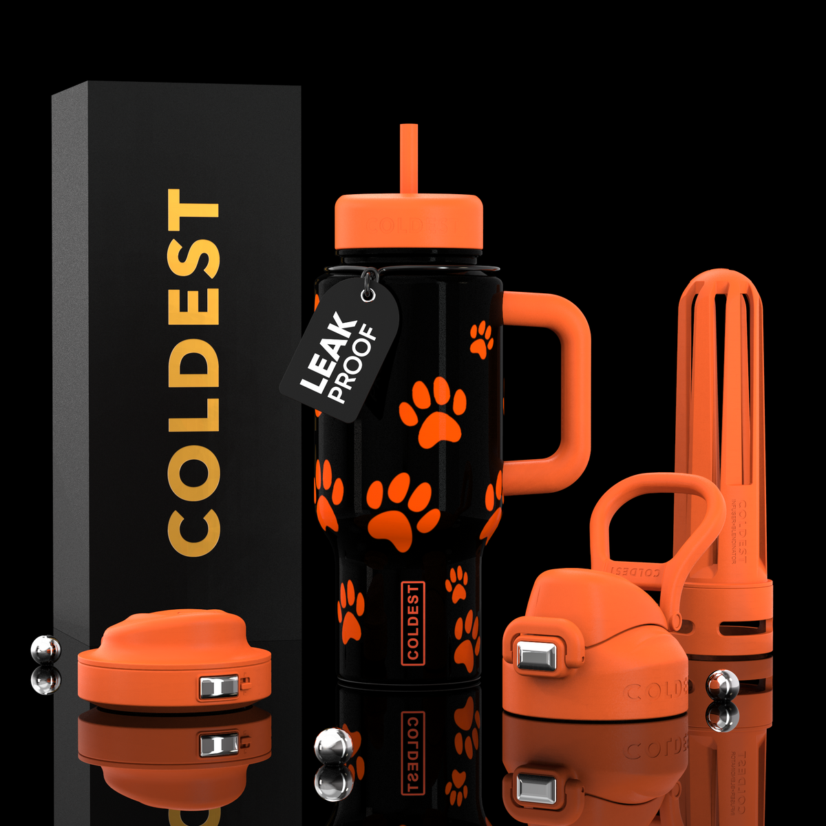 COLDEST 24oz Limitless Ultra v8 water bottle – Pumpkin Paws design